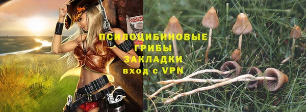mdpv Алзамай