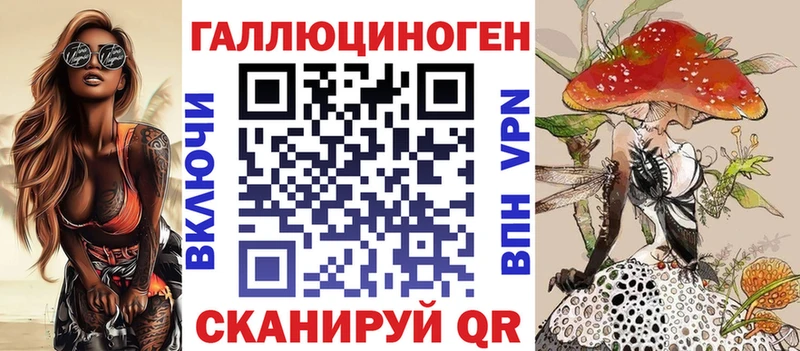 как найти   Ковдор  omg как войти  Галлюциногенные грибы мицелий 